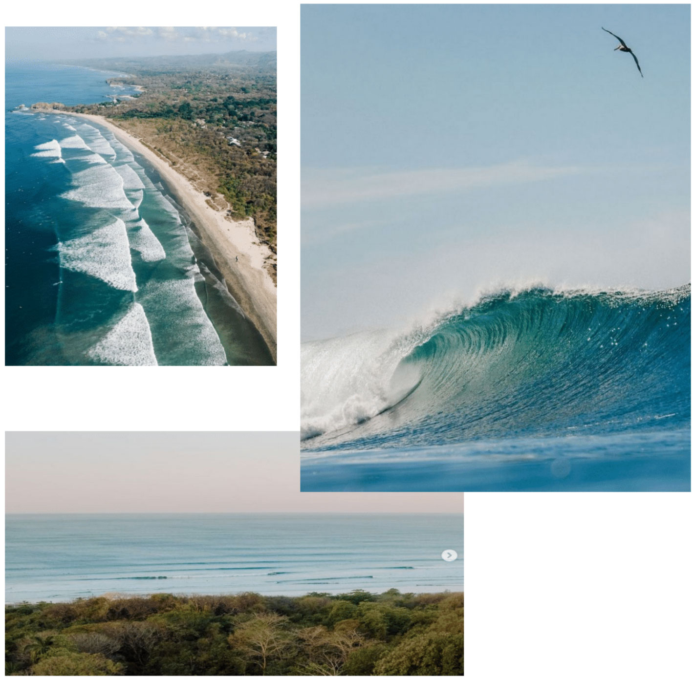 group surfers guiones beach